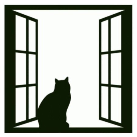 Силуэт кота на окне