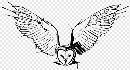 Трафарет сова с распущенными крыльями рисунок (37 фото)