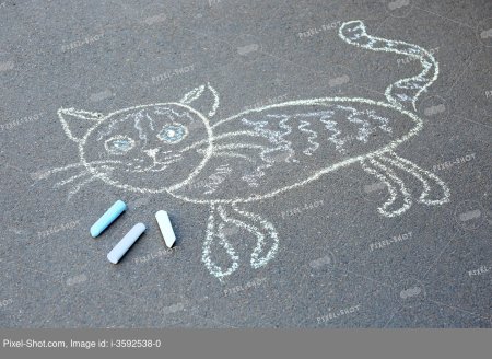Котик на асфальте мелом