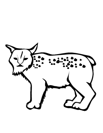 Рысь рисунок