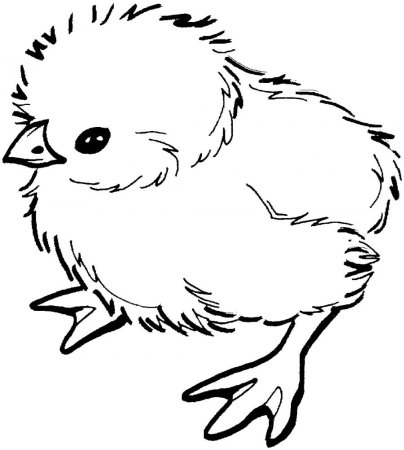 Трафарет рисунок цыпленка (48 фото)