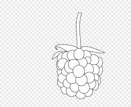 Raspberry раскраска для детей