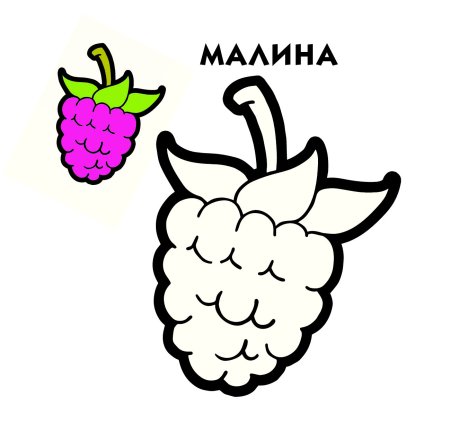 Малина раскраска для детей