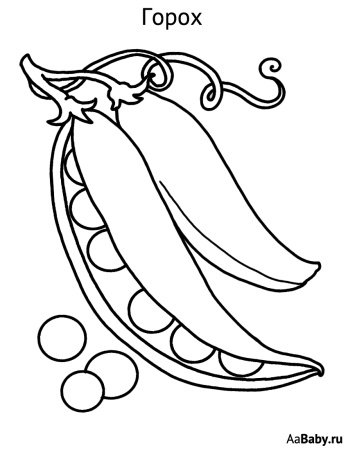 Горох раскраска для детей