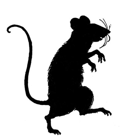 Трафарет крыса рисунок (47 фото)