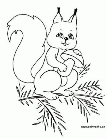 Белка зимой раскраска