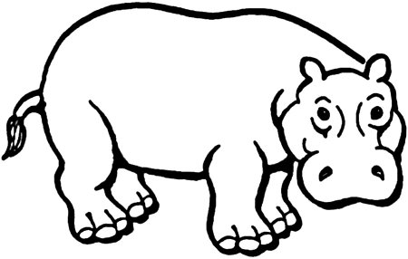 Бегемот сбоку рисунок