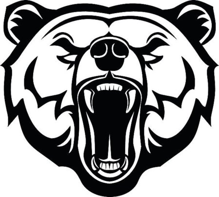 Злой медведь