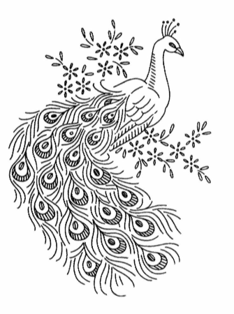 Жар птица раскраска