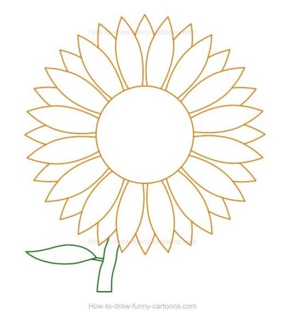 Подсолнух рисунок
