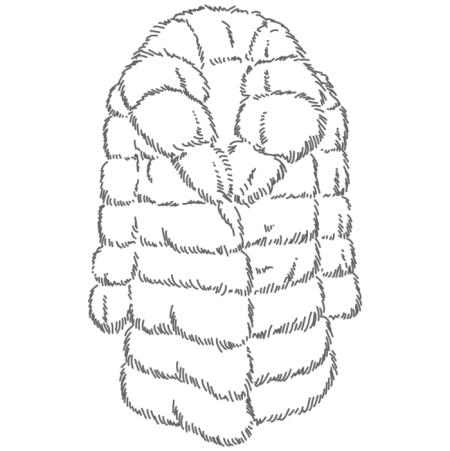 Шубка раскраска для детей