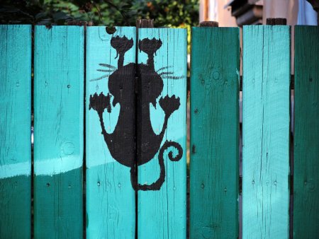 Прикольные рисунки на заборе