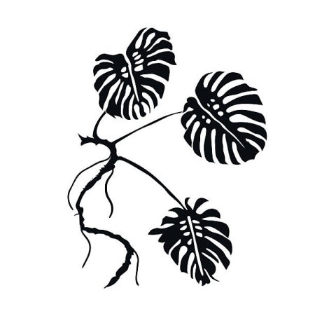Monstera Leaf контур