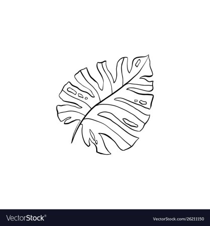 Monstera Leaf svg
