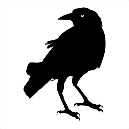 Crow and Raven