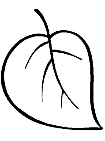 Листья раскраска
