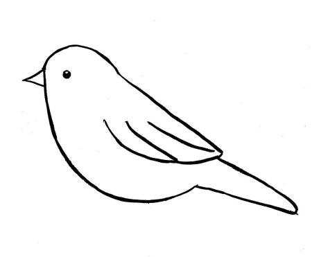 Трафарет птицы рисунок для детей (50 фото)