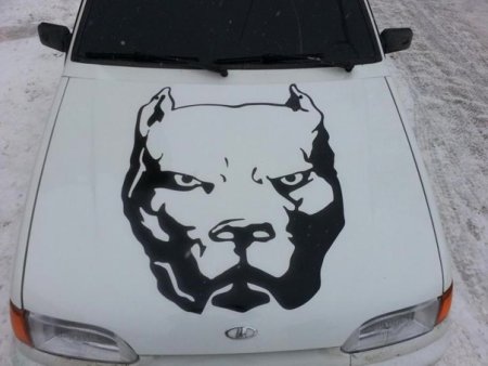 ВАЗ 2114 Pitbull