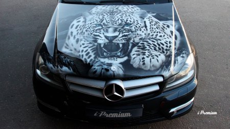 Аэрография на капоте авто
