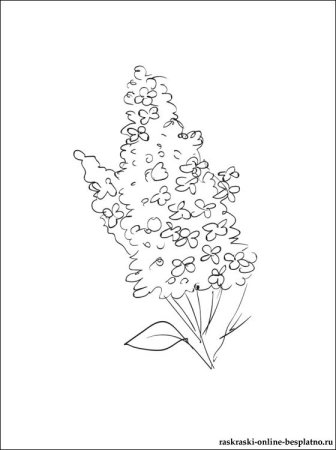 Сирень чб для ребенка