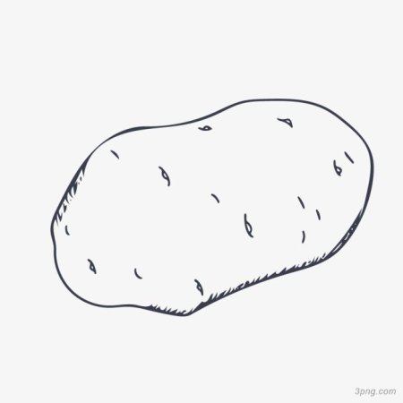 Картошка раскраска
