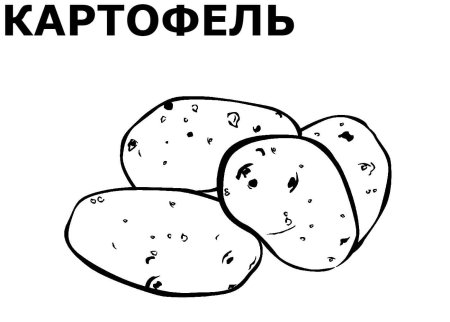 Картофель раскраска