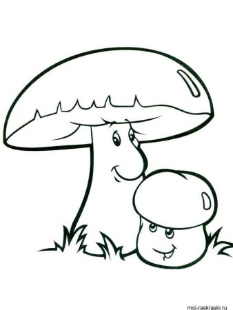 Грибы раскраска для детей
