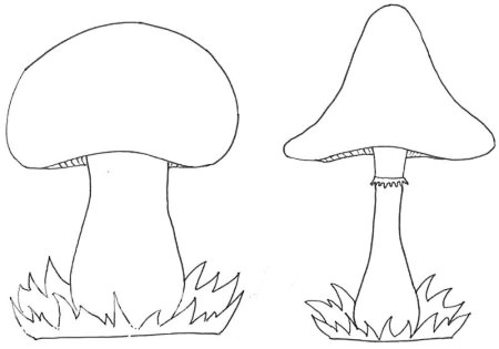 Трафарет грибочек рисунок (47 фото)