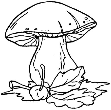 Грибы для срисовки