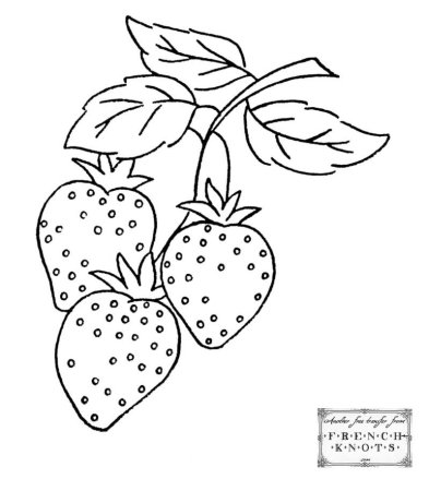 Трафарет ягоды рисунок (48 фото)