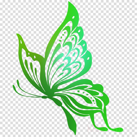 Зеленые цветы на прозрачном фоне