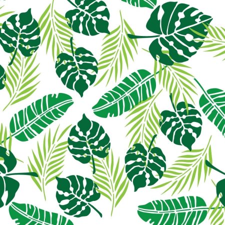 Monstera Leaf фон