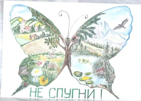 Раскраска природа