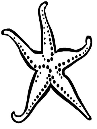 Раскраска морскиизвезды