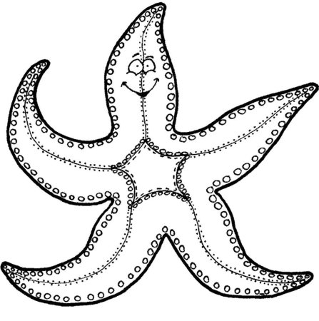 Трафарет морская звезда рисунок (44 фото)