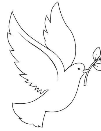 Голубь рисунок