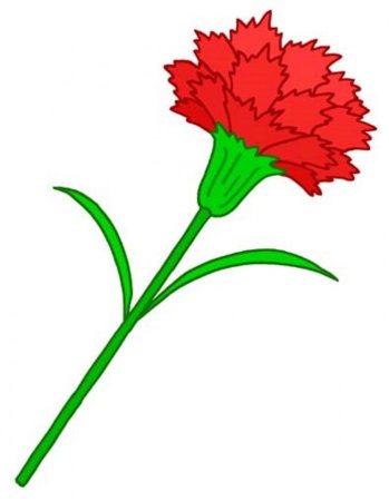 Вырезанки гвоздика