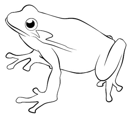 Лягушка раскраска
