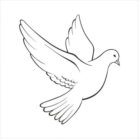 Маленький голубь рисунок