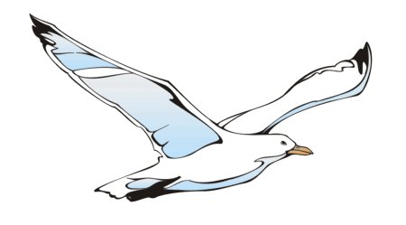 Трафарет чайка рисунок (47 фото)