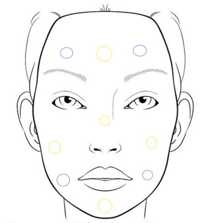 Face Chart для визажистов шаблон Mac