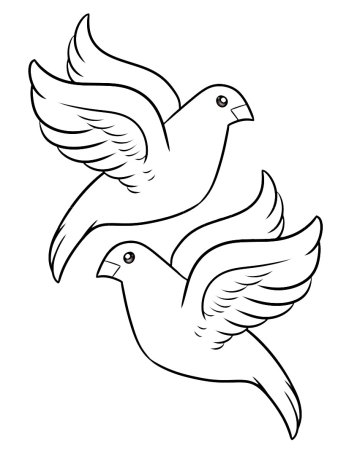 Голубь рисунок