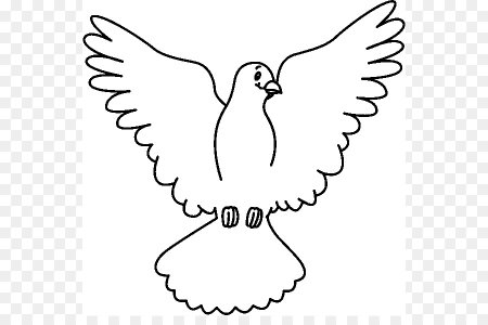 Голубь картинка раскраска