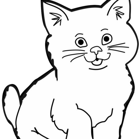 Раскраска кот