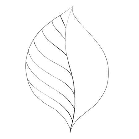 Листья эскиз