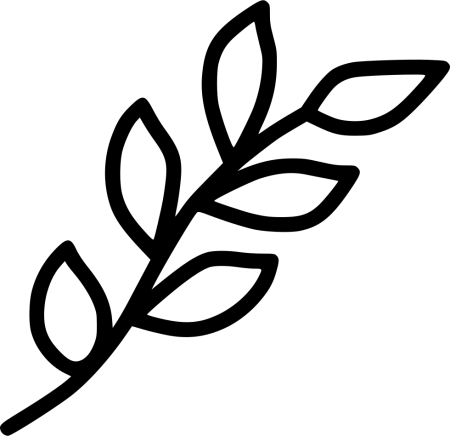 Ветка с листьями