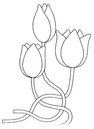Трафарет рисунок тюльпана (48 фото)