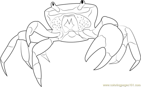 Морской Крабик, - эскиз на бумаге