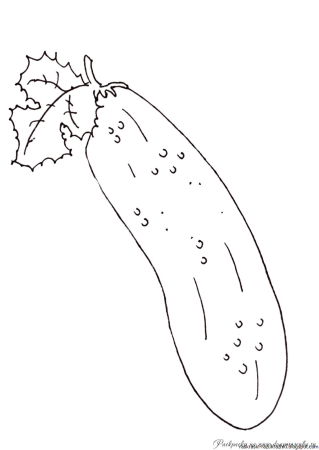 Огурец раскраска