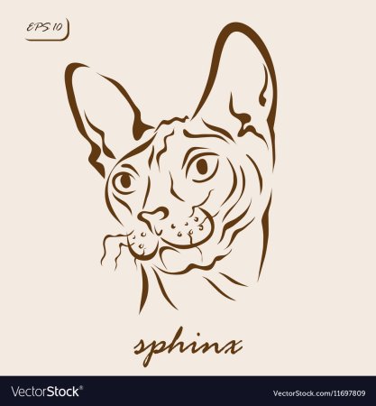 Сфинкс трафарет